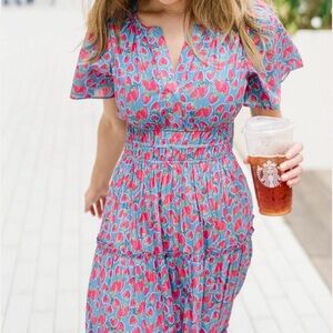 NWT Briton Court SIZE medium Willow Maxi Dress | Strawberries